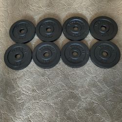 5 Pound Black Weight Plates Set Of 8 With Loadable Handles 