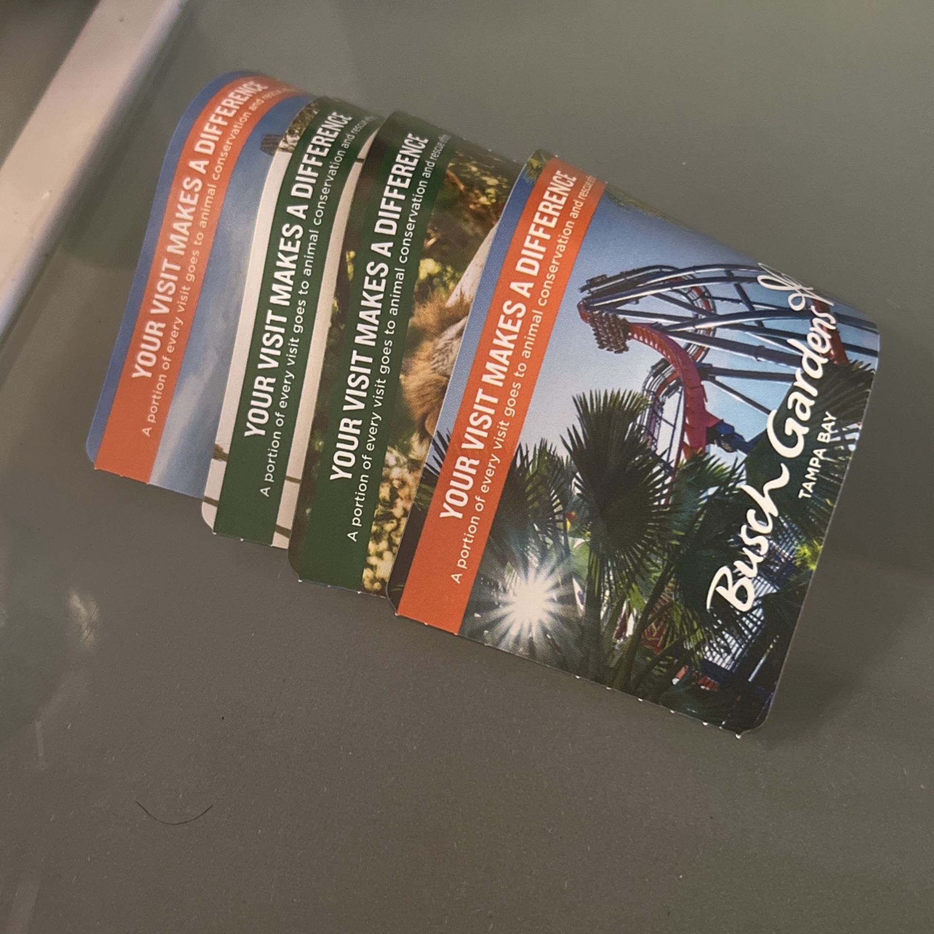 2 Busch Gardens Passes