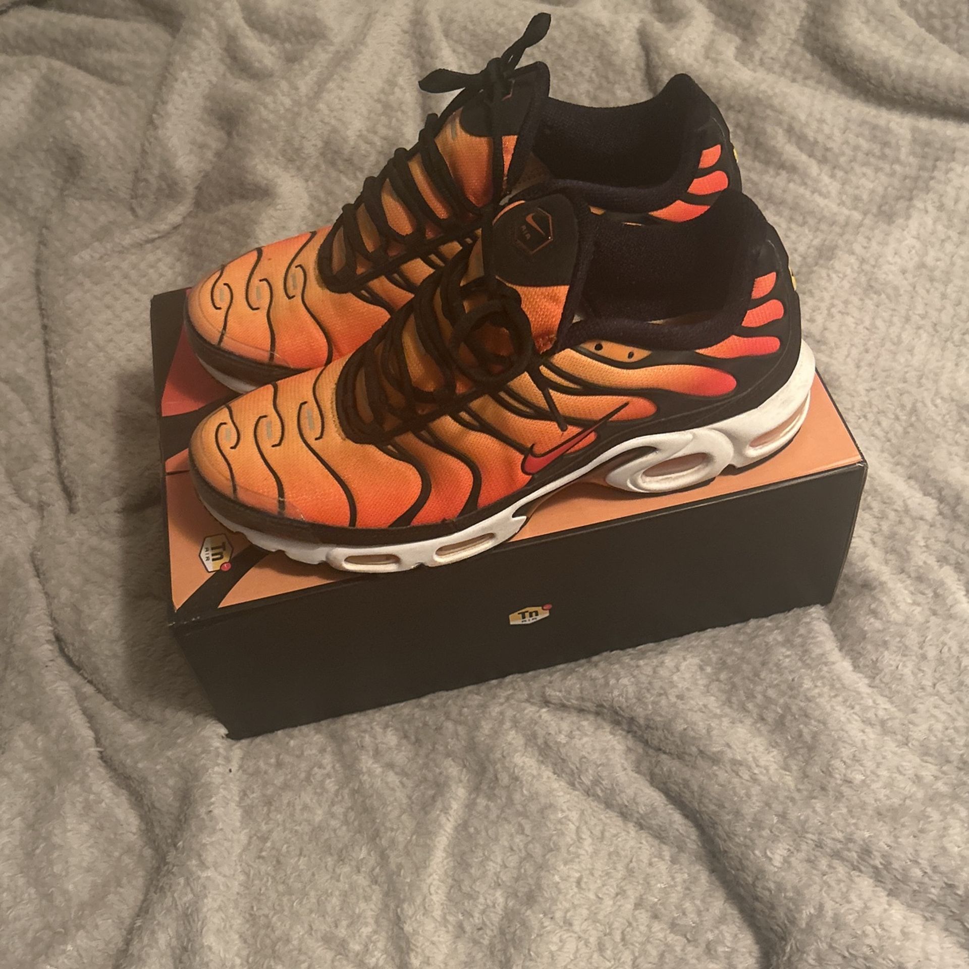 Size 12 Nike Air Max Plus Sunset Pre