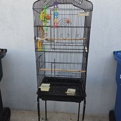 bird cage