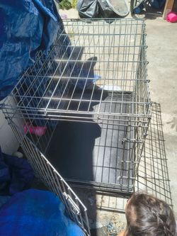 Large dog crate