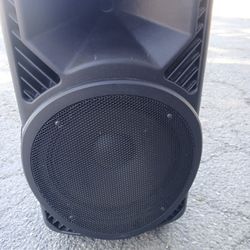 Pyle 12inch  Stage Speakers