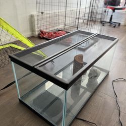 2 Glass Tanks