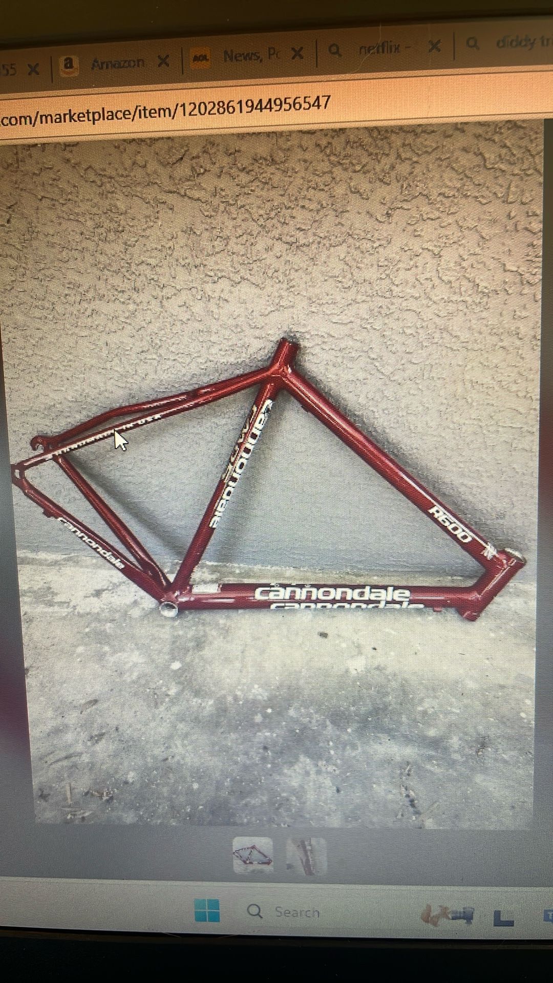 Cannondale Bike Frame