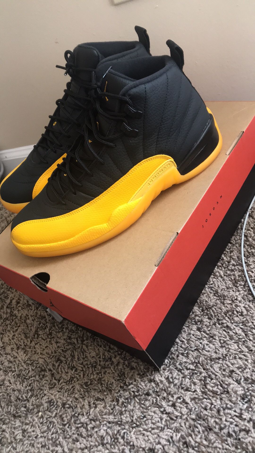 Jordan 12