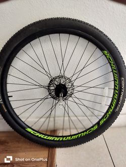 schwinn tubeless tire and rim