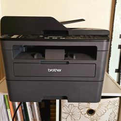Brother MFC-L2710DW Printer