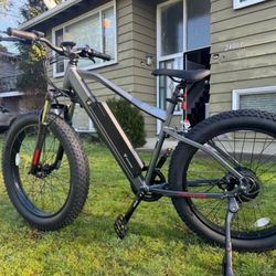 Electric Mountain Bike