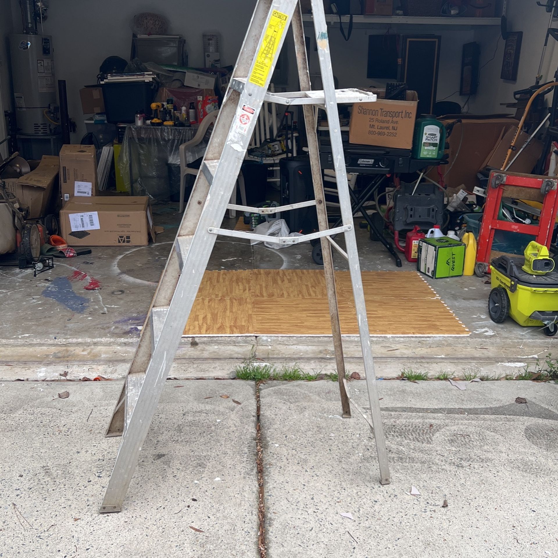 6 Ft Ladder