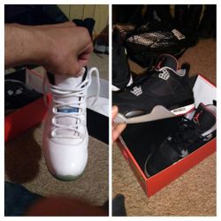 Legend blue and bred 4