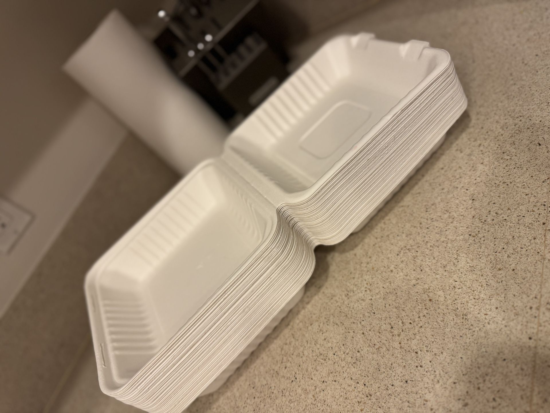 New Take Out Boxes 40 Pieces