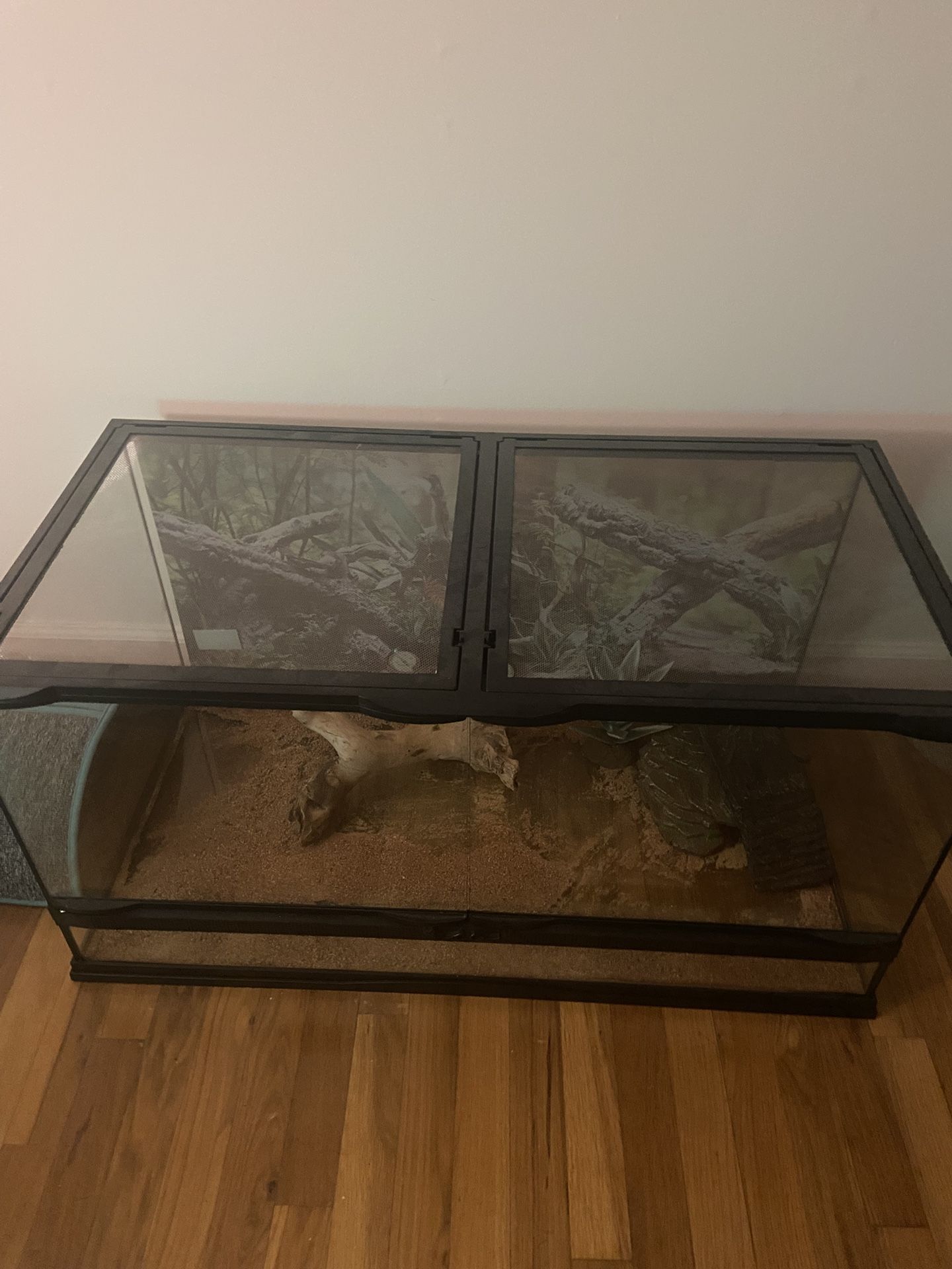 Reptile Enclosure