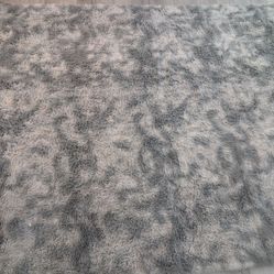 Area Rug