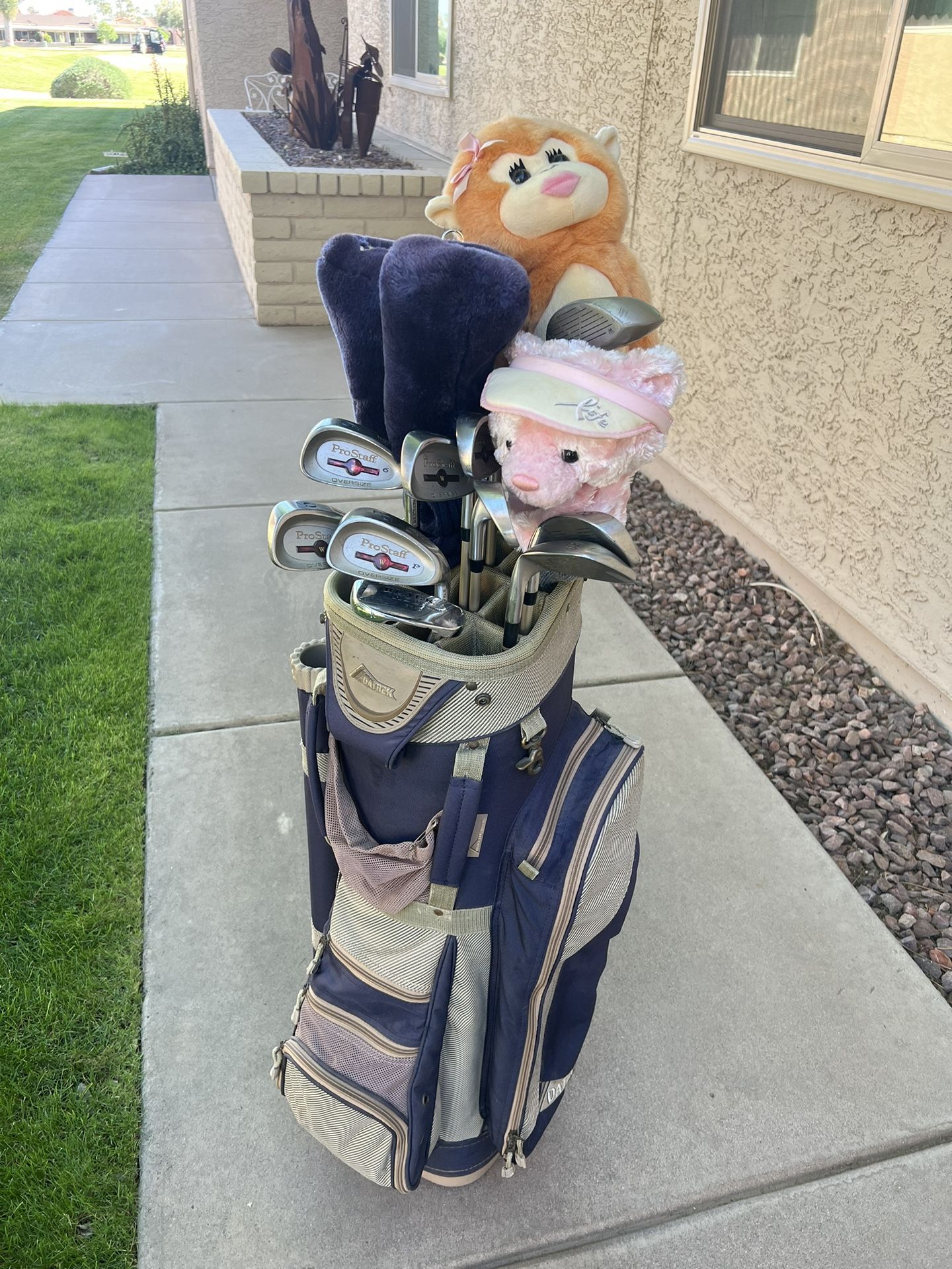 Golf Clubs and Bag