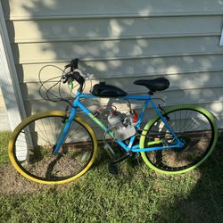 Motorized Bikes 