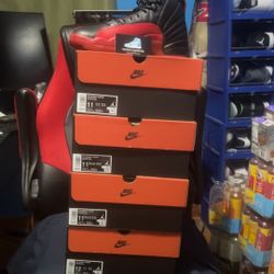 Jordan 12 Flu Game