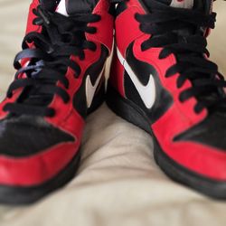 Nike Dunk High GS 5.5
