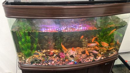 Fish tank