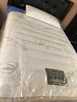 Bed and Boxspring