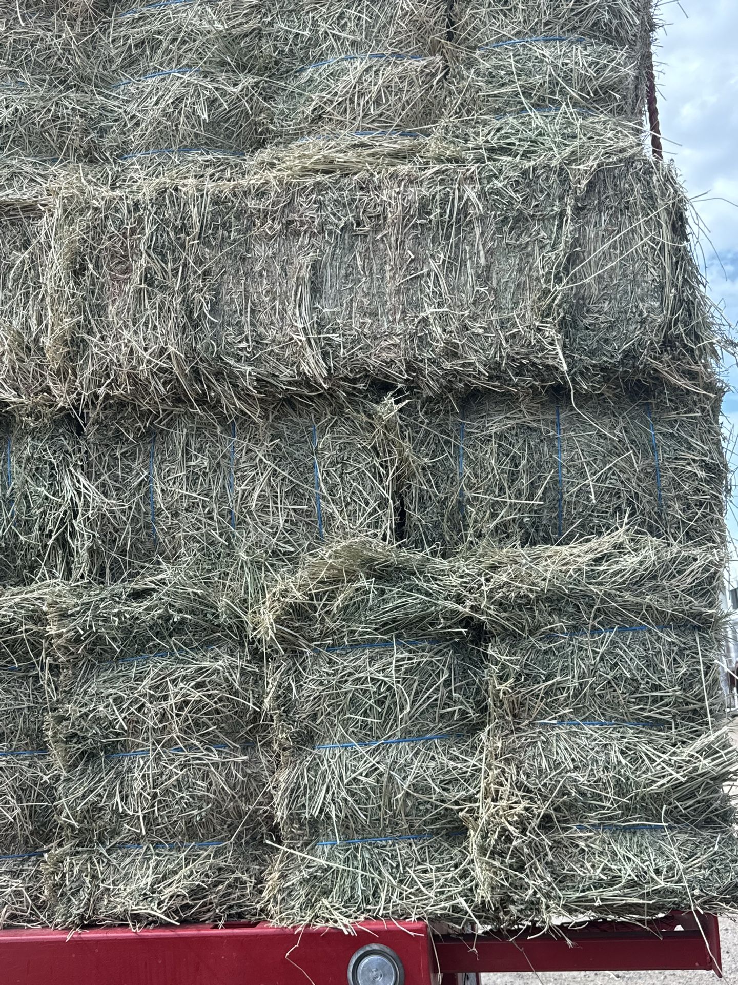 Alfalfa, Pacas ,cow Hay 