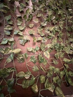 Lot of 16 silk philodendron garlands