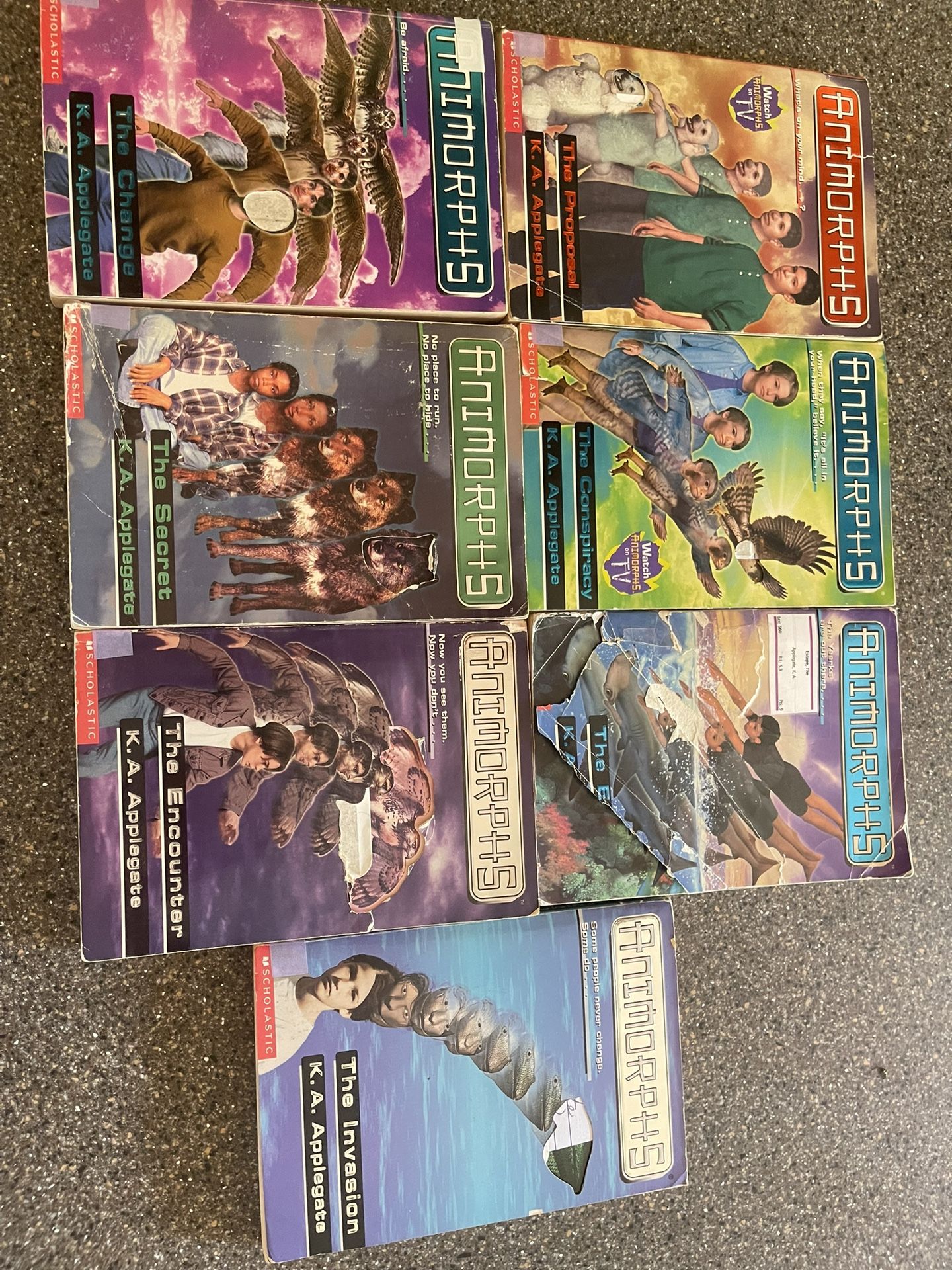 Chapter Books For Kids Teens And Young Adults