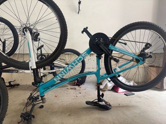 Shwinn and BMX