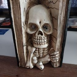 Skeleton Spells Book Lights Up 15 Dollars 