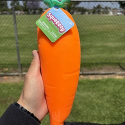 Squishy Carrot