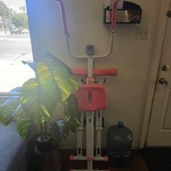 2 in 1 stepper and ab workout machine