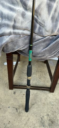 Seeker rod