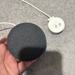 Google nest mini (2nd generation)  and Portland