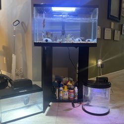 BUNDLE Fish tank Set