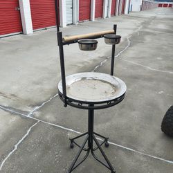 Parrot Stand