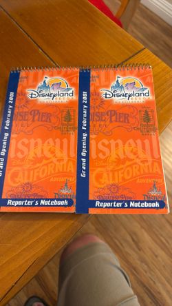 Disneyland Resort In California Grand Opening Reporter’s Notebook 