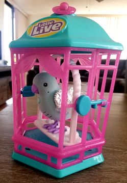 Little Live Pets Bird with Cage