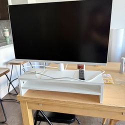 Samsung Monitor + Riser