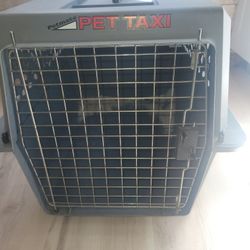 Large Pet Taxi 