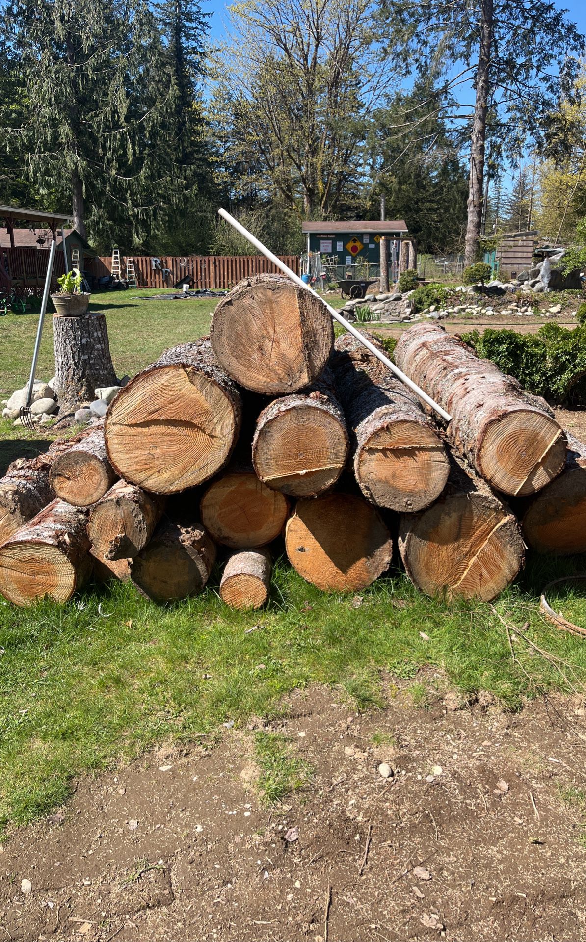Logs For Milling
