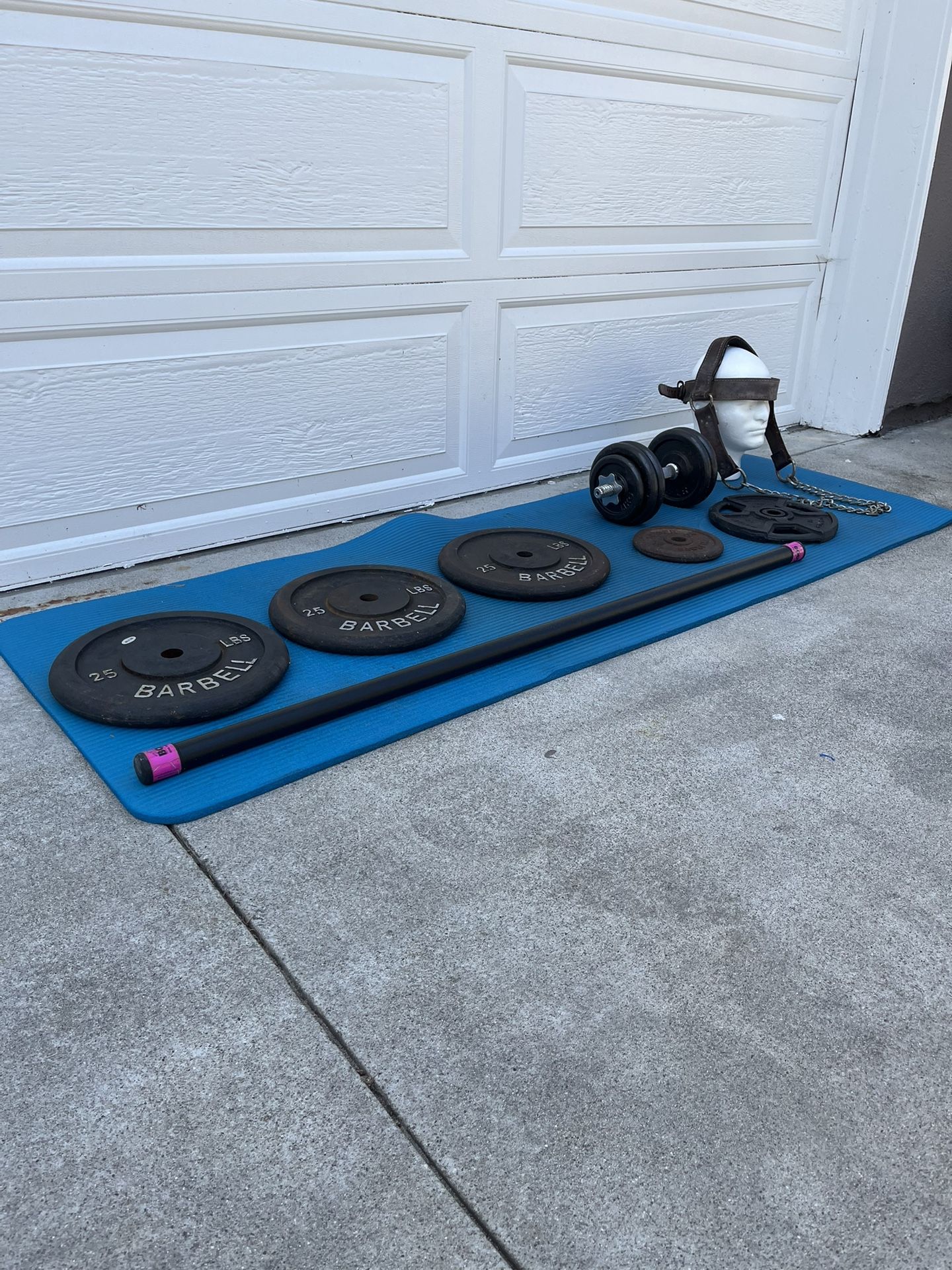 Home Gym Dumbbell Weights Body Bar Head Harness