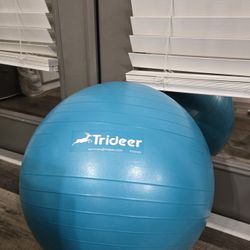 Trideer Yoga Ball Exercise Ball for Working Out, Physical Therapy, Balance, Fitness, Office