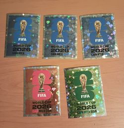 FIFA World Cup Panini Stickers