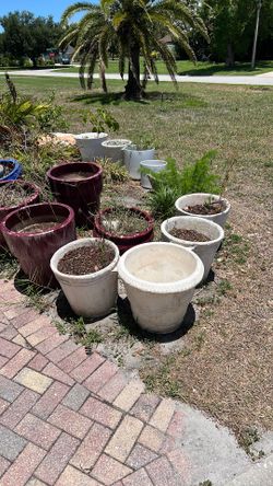 Flower pots Flower pots