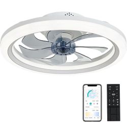 Ceiling Fan With Light