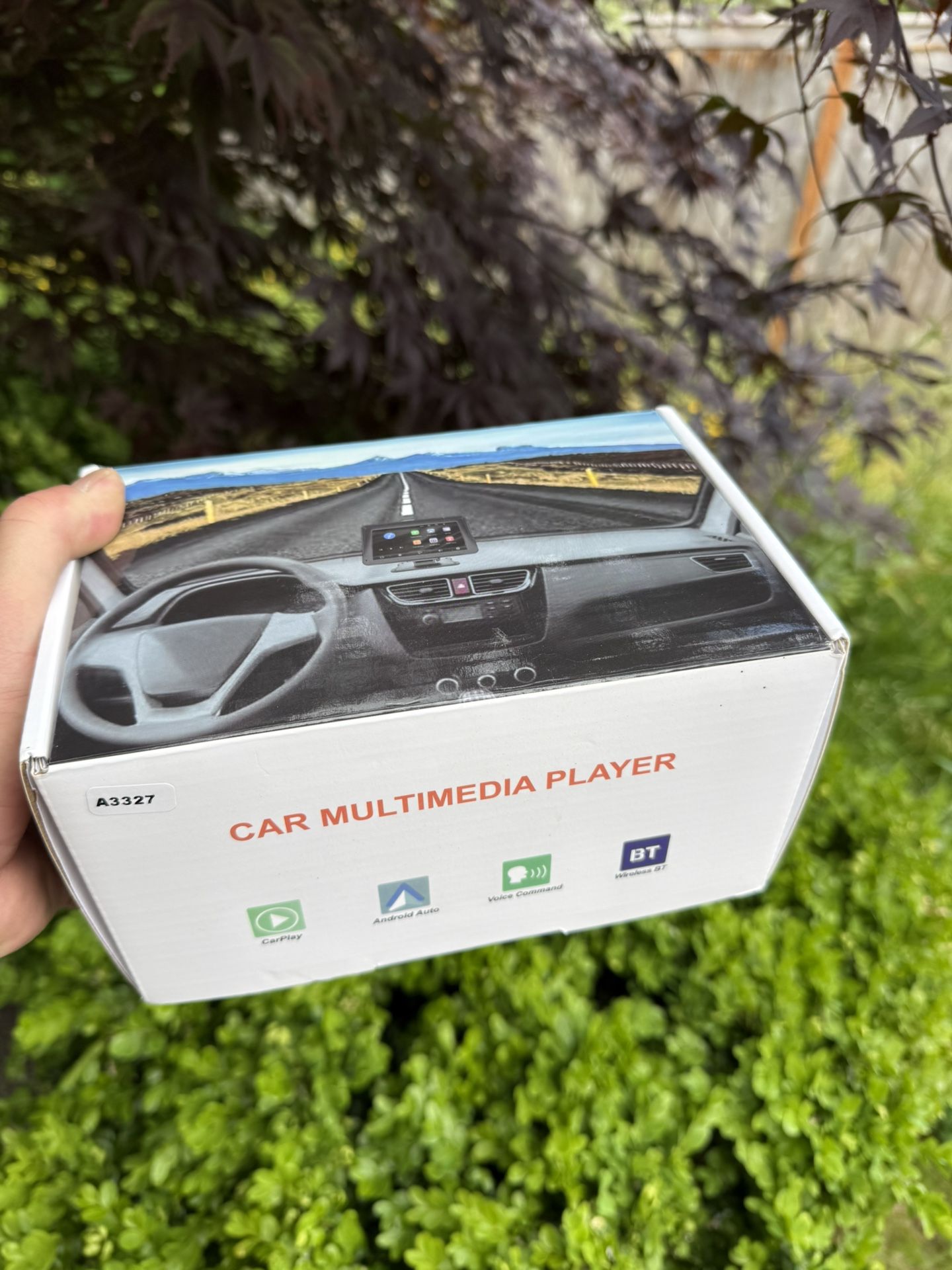 Vehicle CarPlay