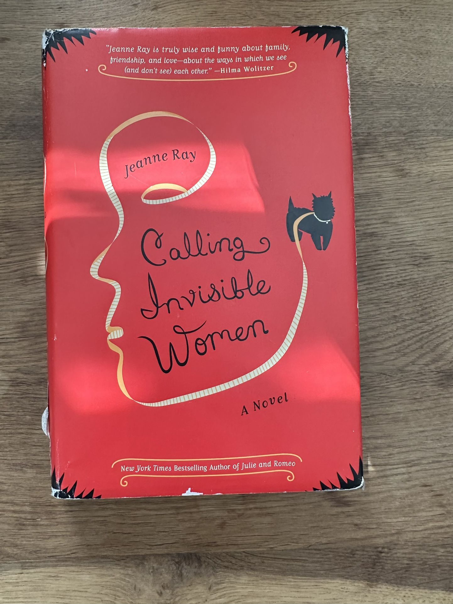 Jeanne Ray “ Calling Invisible Women” Book