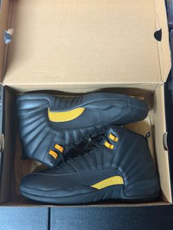DS Jordan 12 size 11