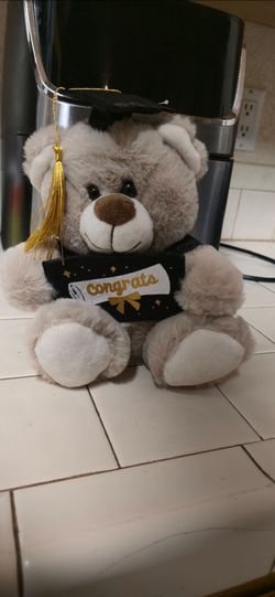 Graduation Teddy Bear