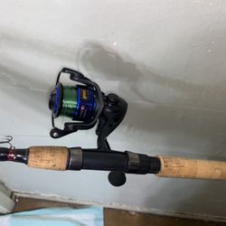 Lews American Hero Spinning Reel And Berkleys Rod 