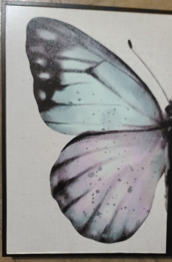 Butterfly Framed Art Wall Decor